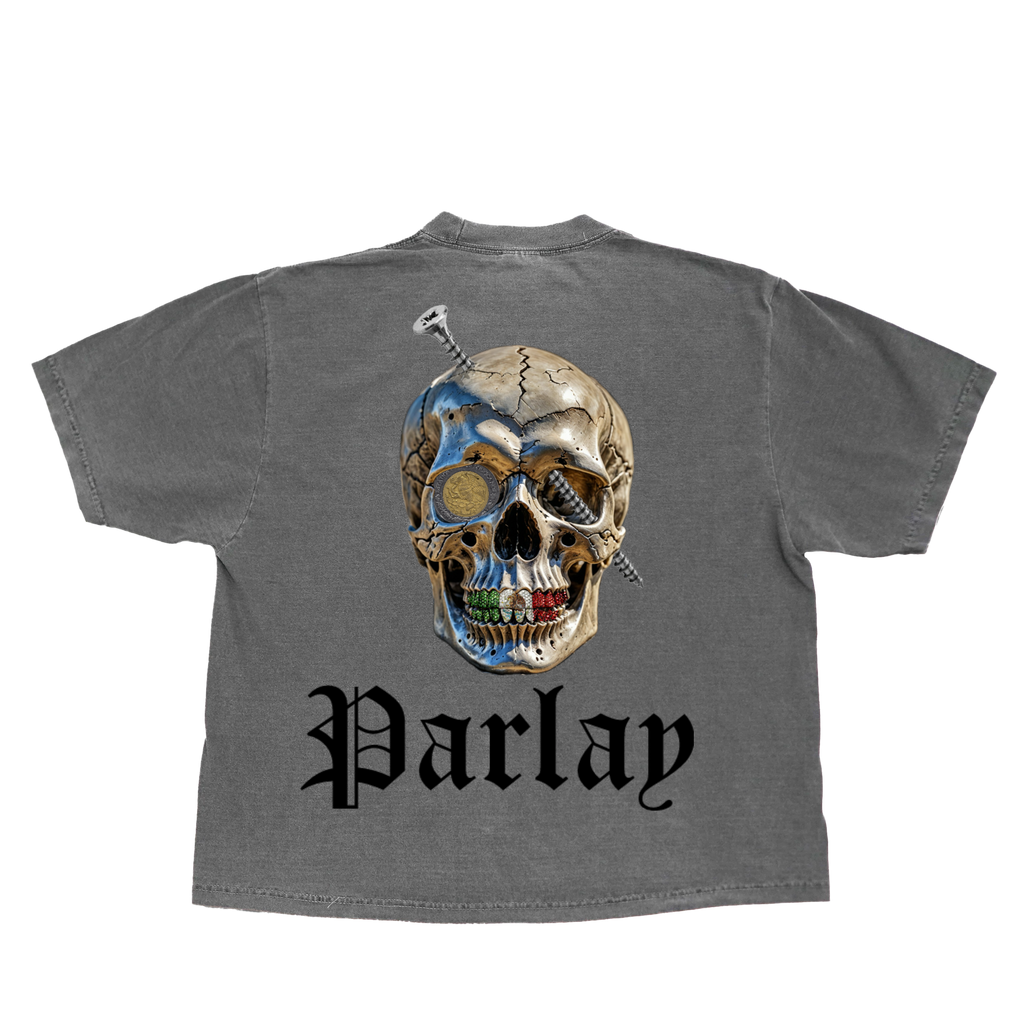 Mexico grill “front n back”